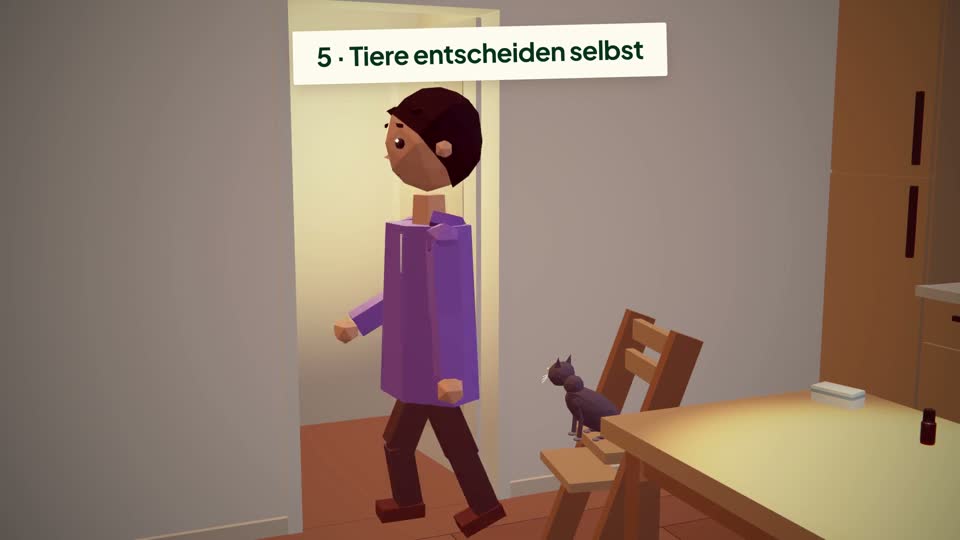 Standbild aus Lektion 4: Die fünf Grenzen